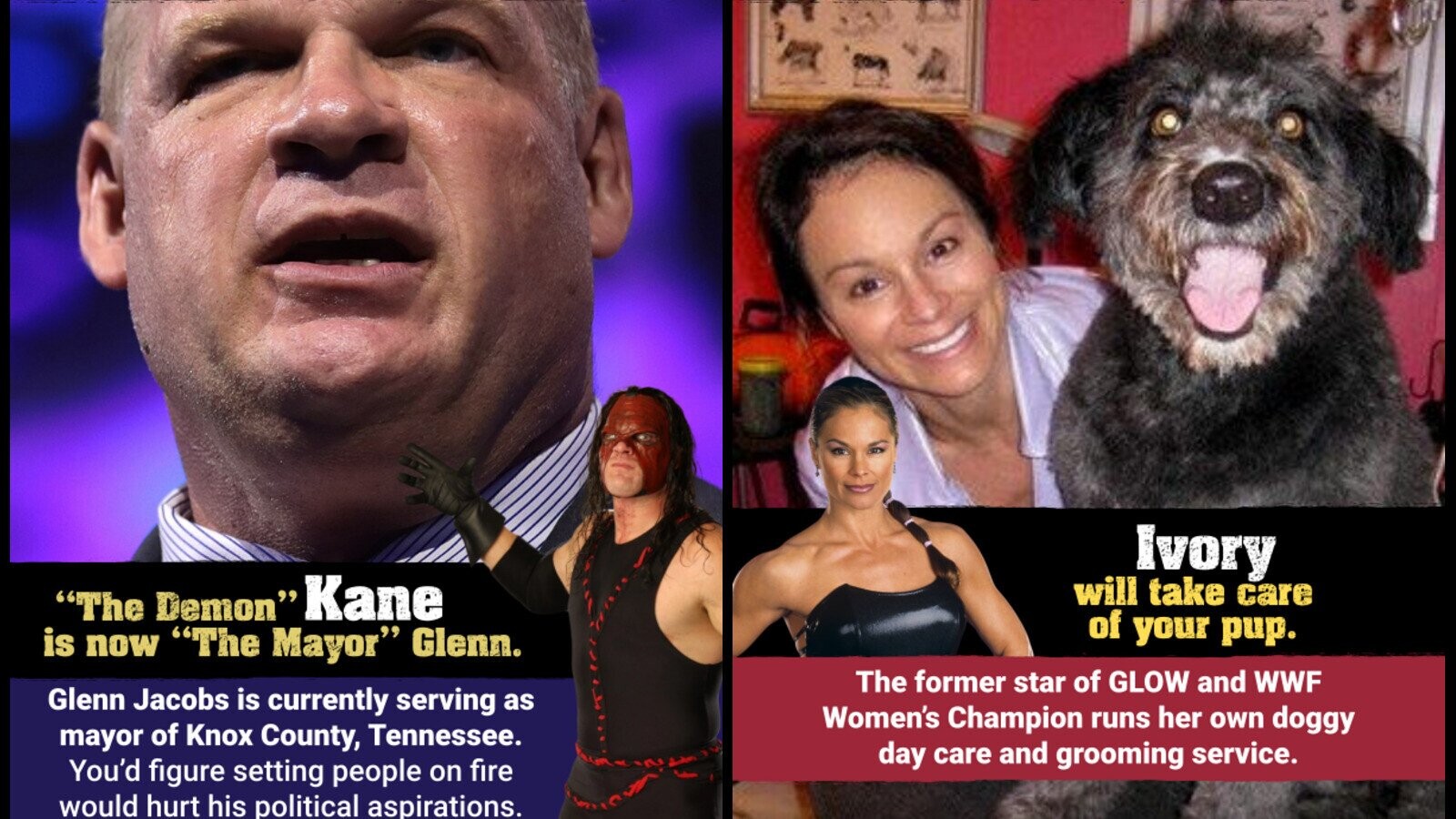 15 Post-Wrestling Careers Of Pro Wrestlers