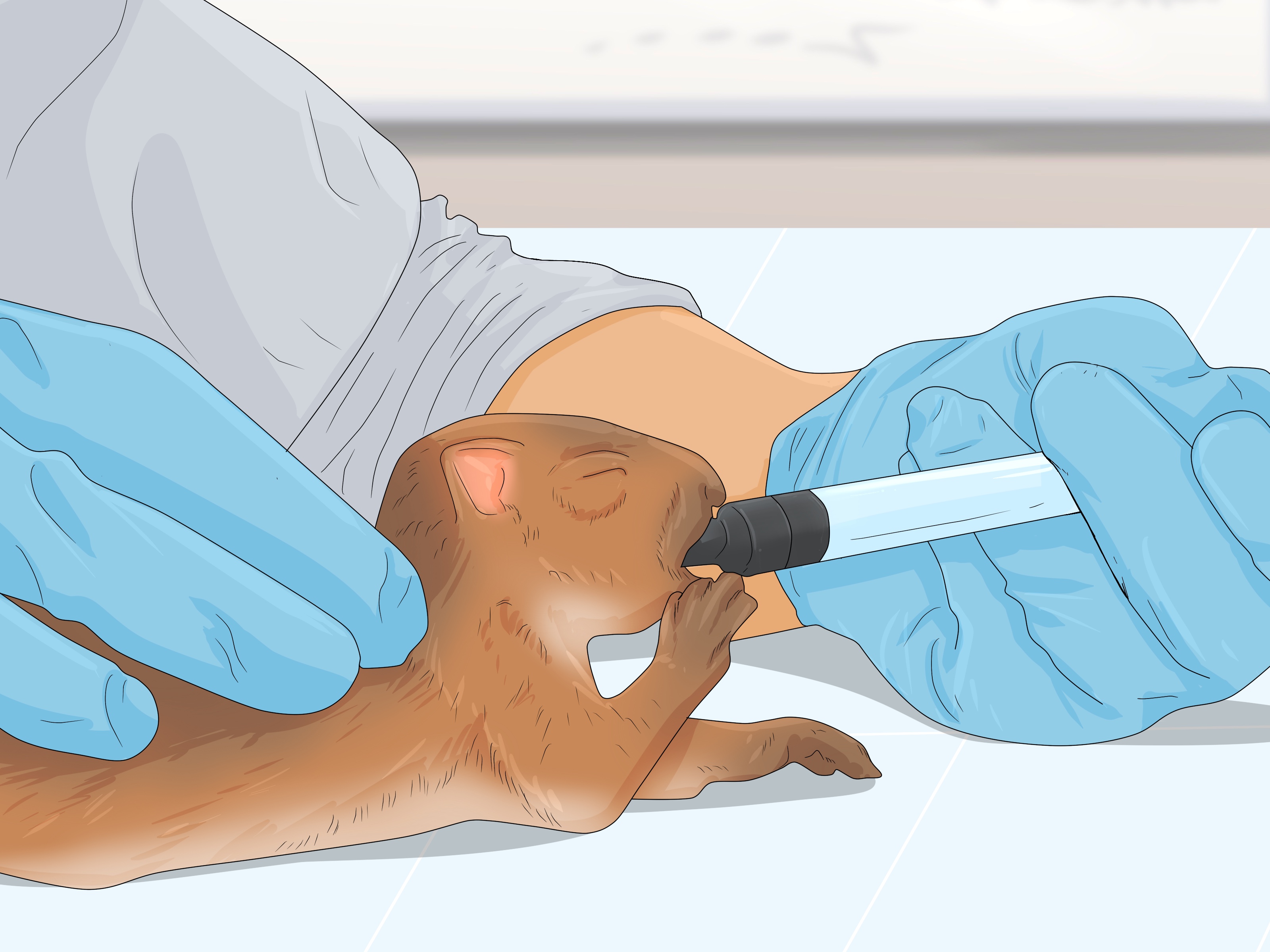 How to Keep a Pet Squirrel