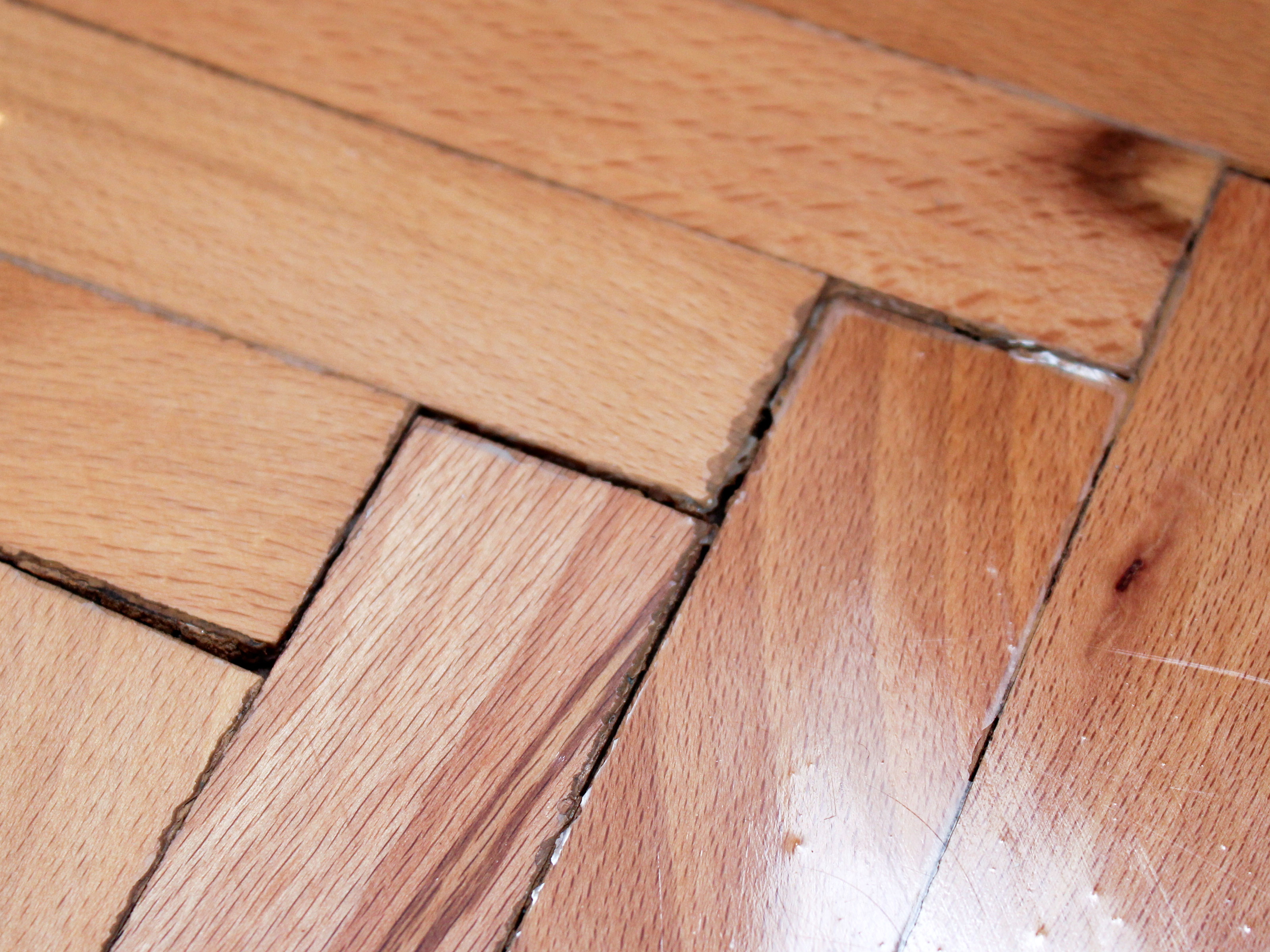 How to Repair Cracks in Wood Floors: 8 Steps