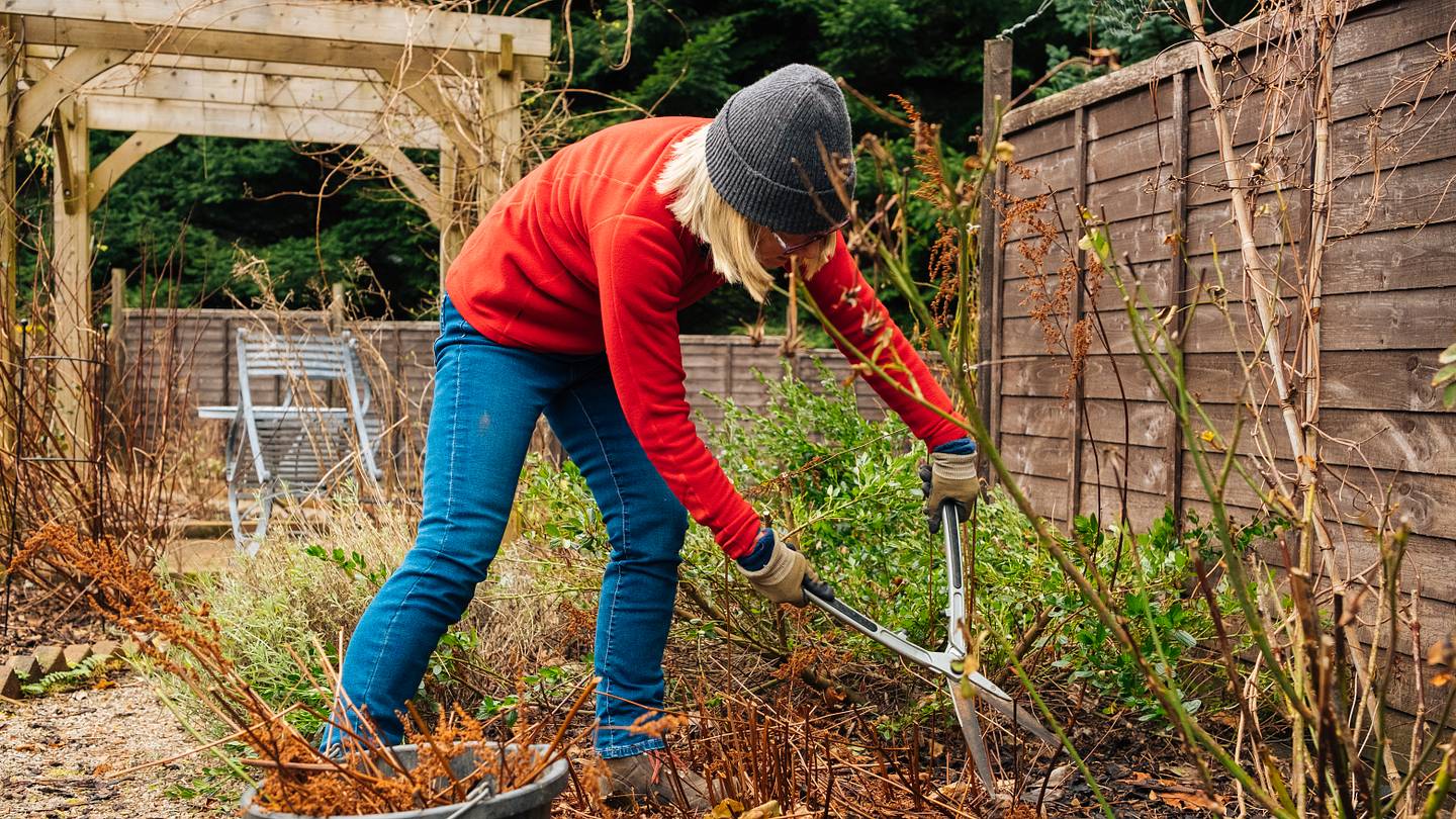 5 Tips for Winterizing Your Garden