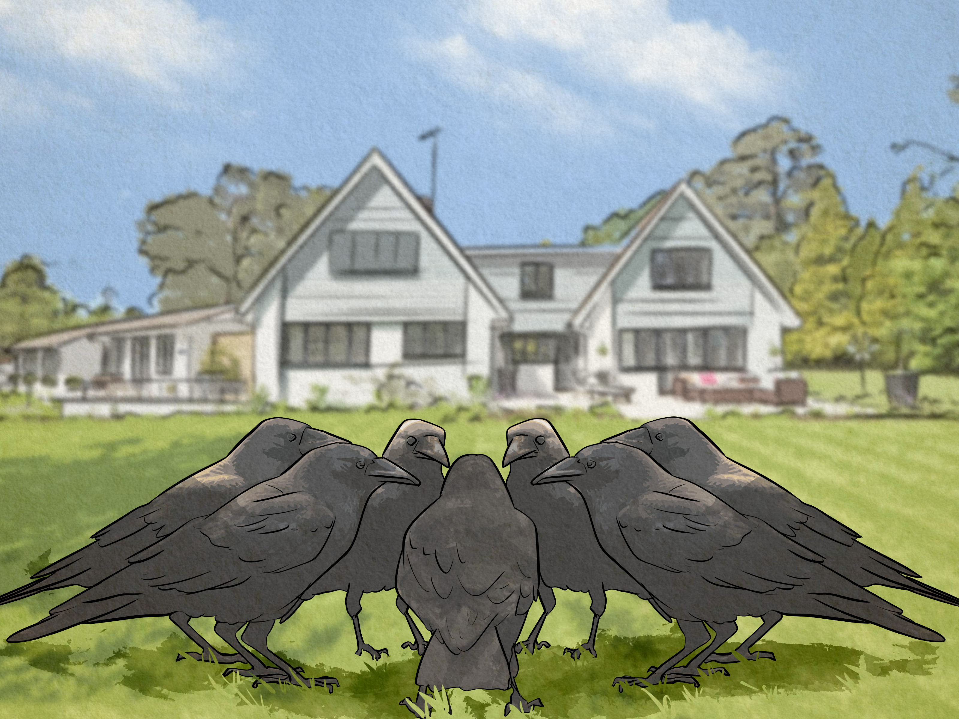 How to Befriend a Wild Crow: A Simple Step-by-Step Guide