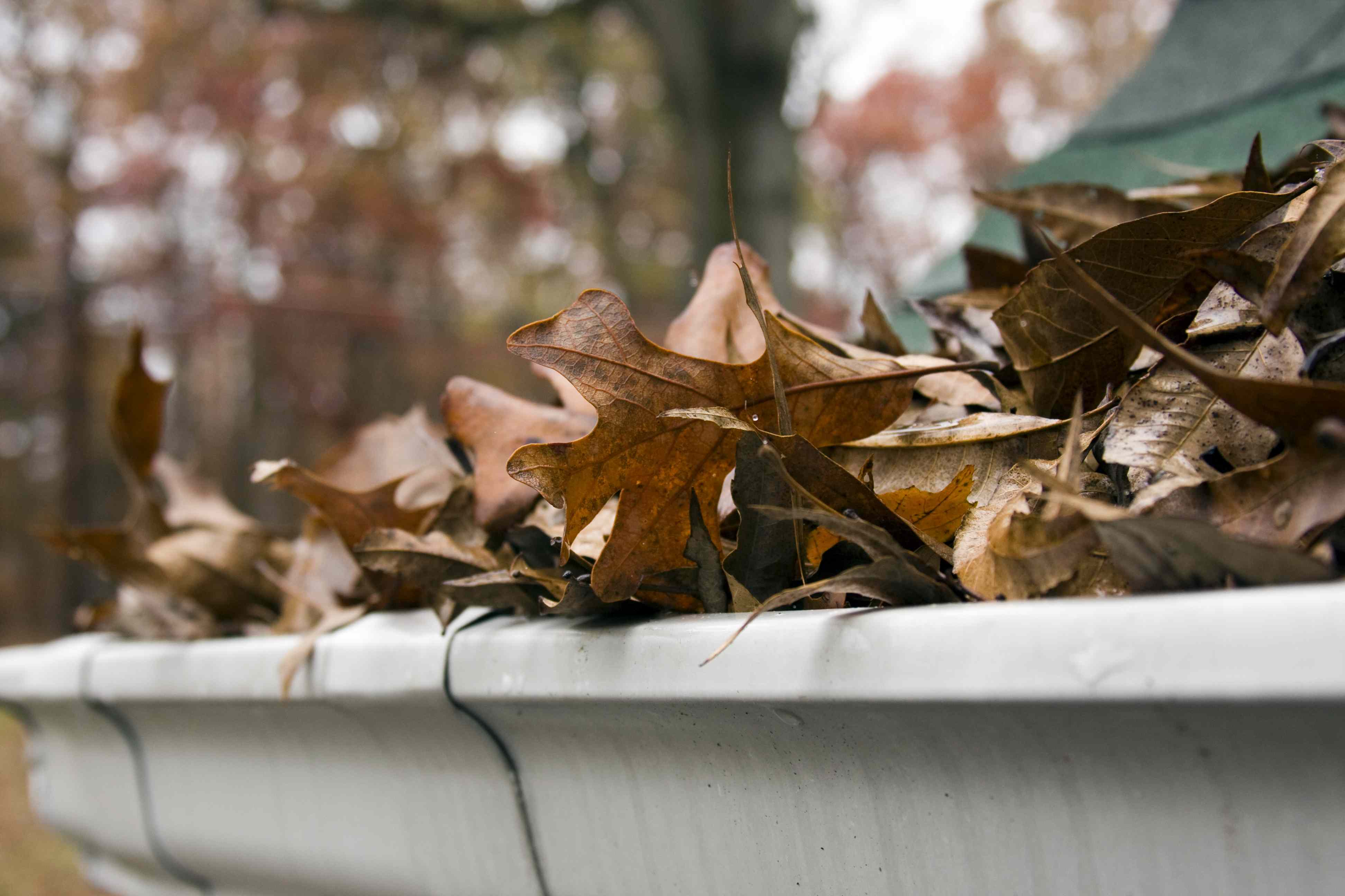 How Often Should You Really Clean Your Gutters? We Asked Maintenance Pros