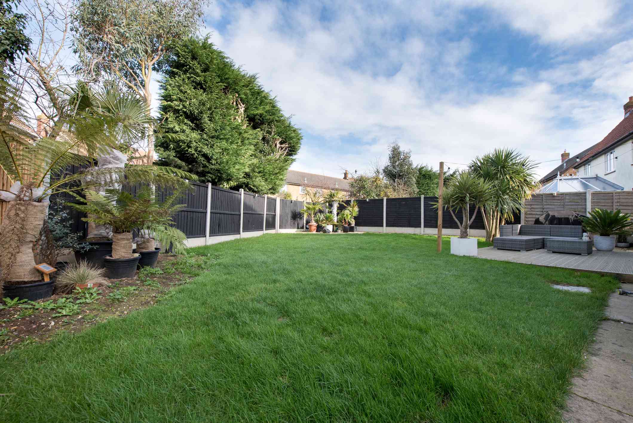 Can You Trim a Neighbor’s Tree That Hangs Over Your Yard? Here’s What Experts Say
