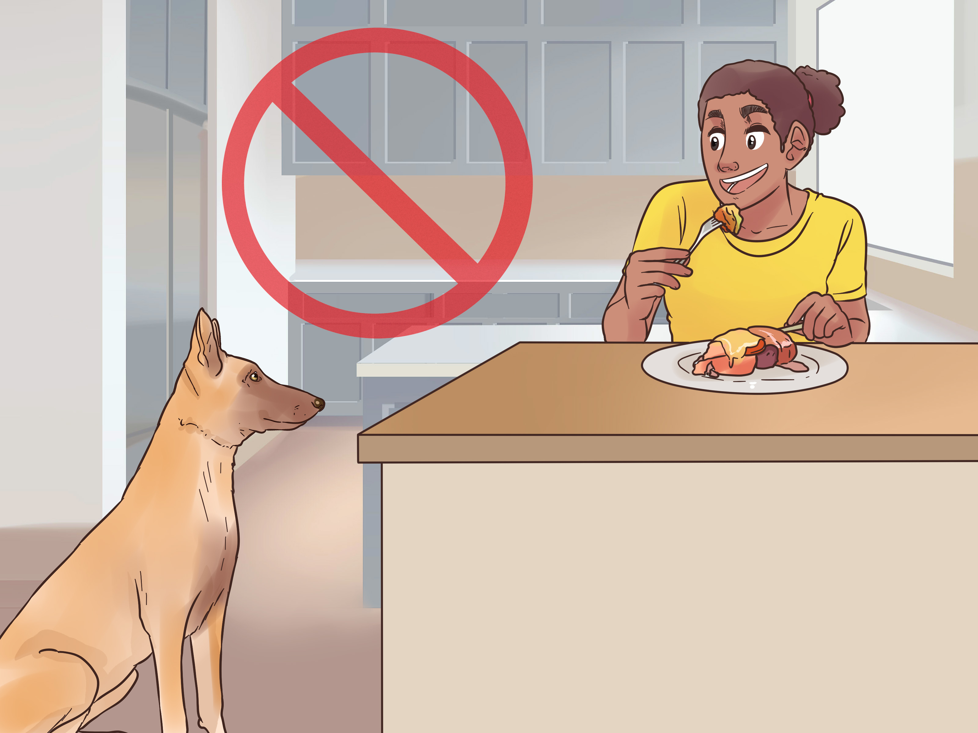 How to Train a Belgian Malinois: 12 Steps