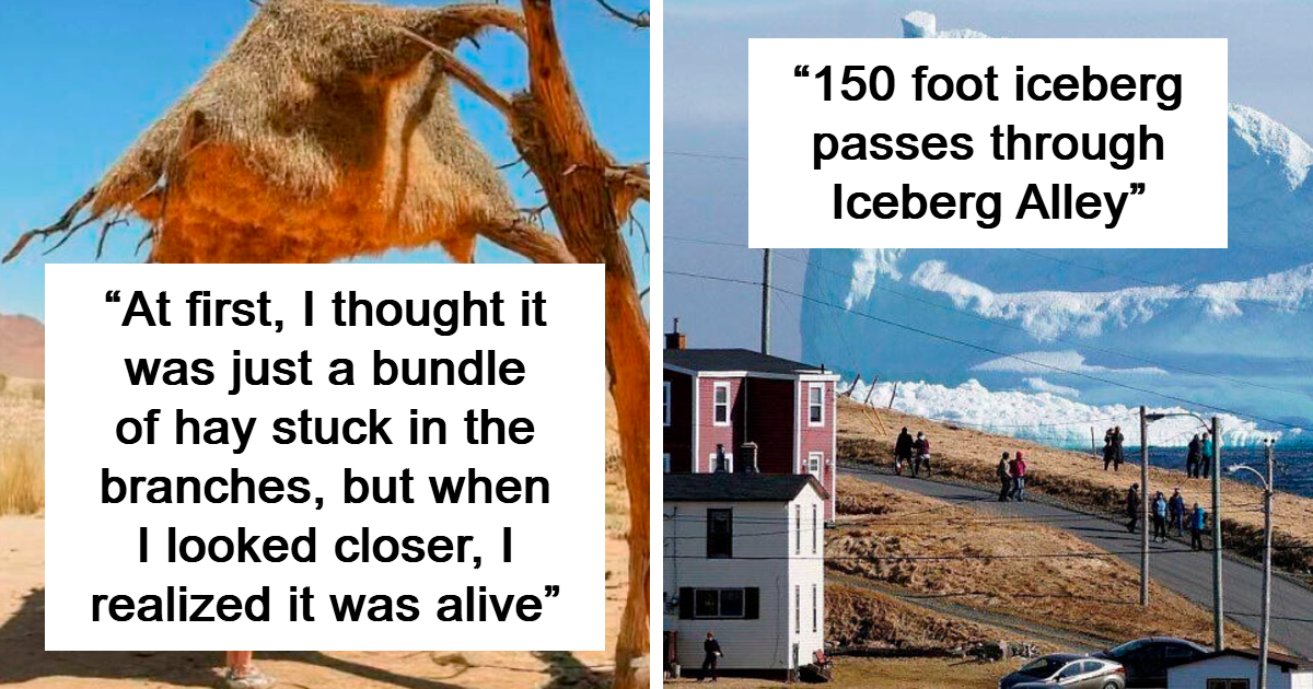This Group Is Dedicated To All Things Interesting, And Here Are 50 Of Their Best Posts