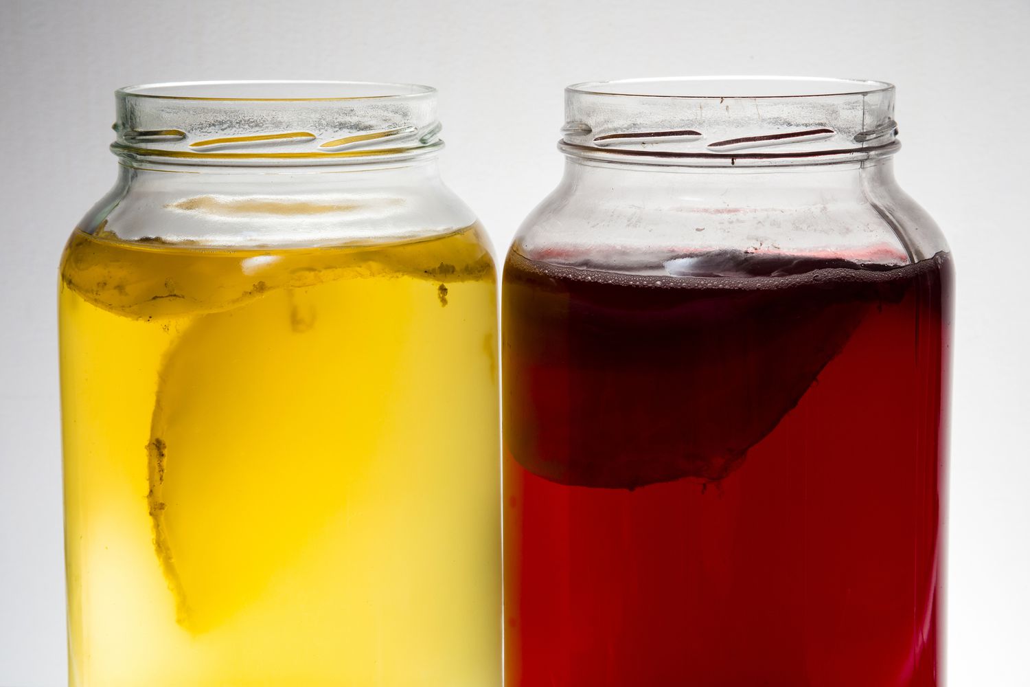Kombucha: Immortal Health Elixir or Homemade Poison?