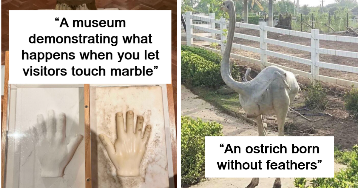 60 Intriguing Photos That Answer People’s “What Happens When…?” Questions