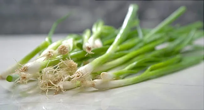 Facts and Health Benefits of Scallions