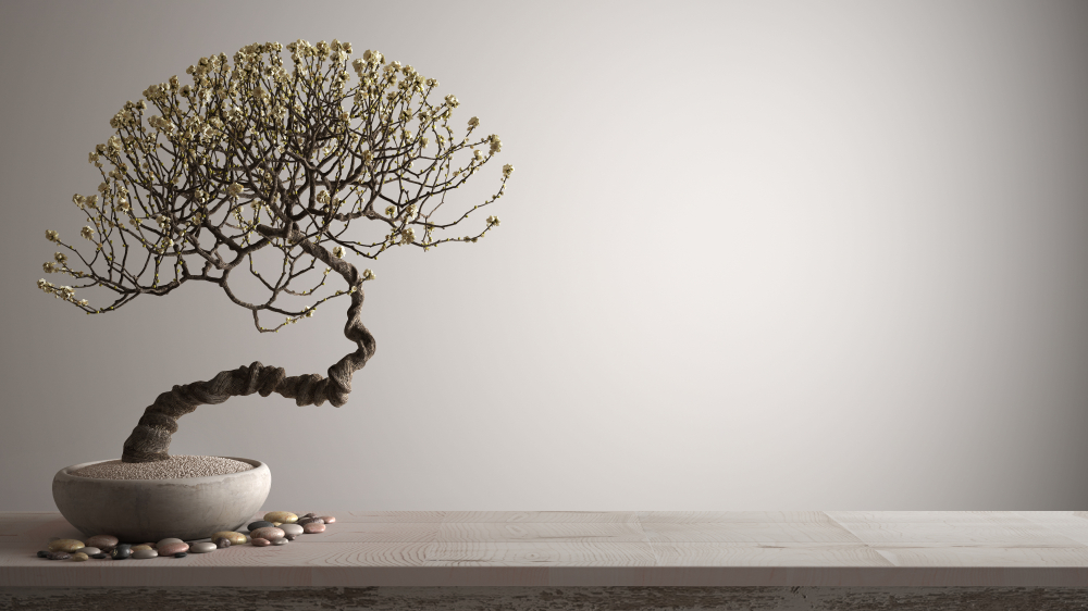 Empathy: the unexpected gift from abuse