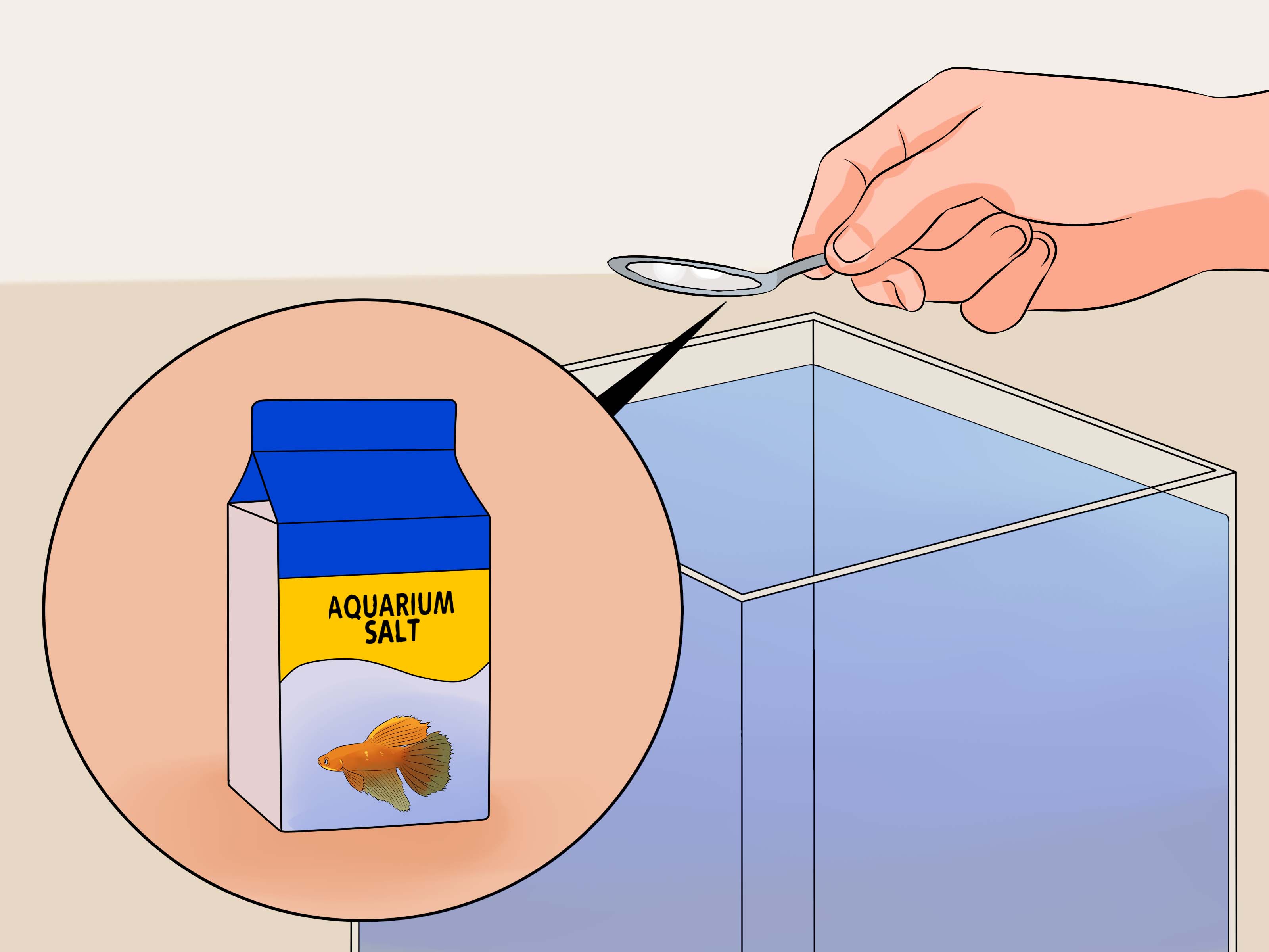 How to Cure Betta Fish Diseases