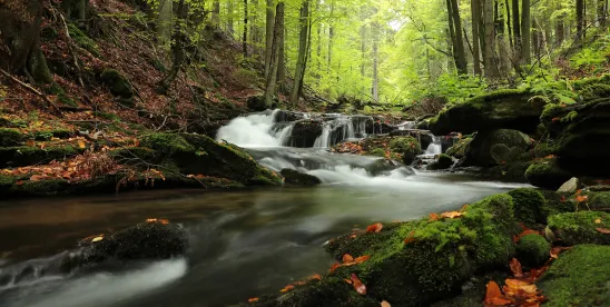 Newsletter Reviews Recent Environmental Water Regulation