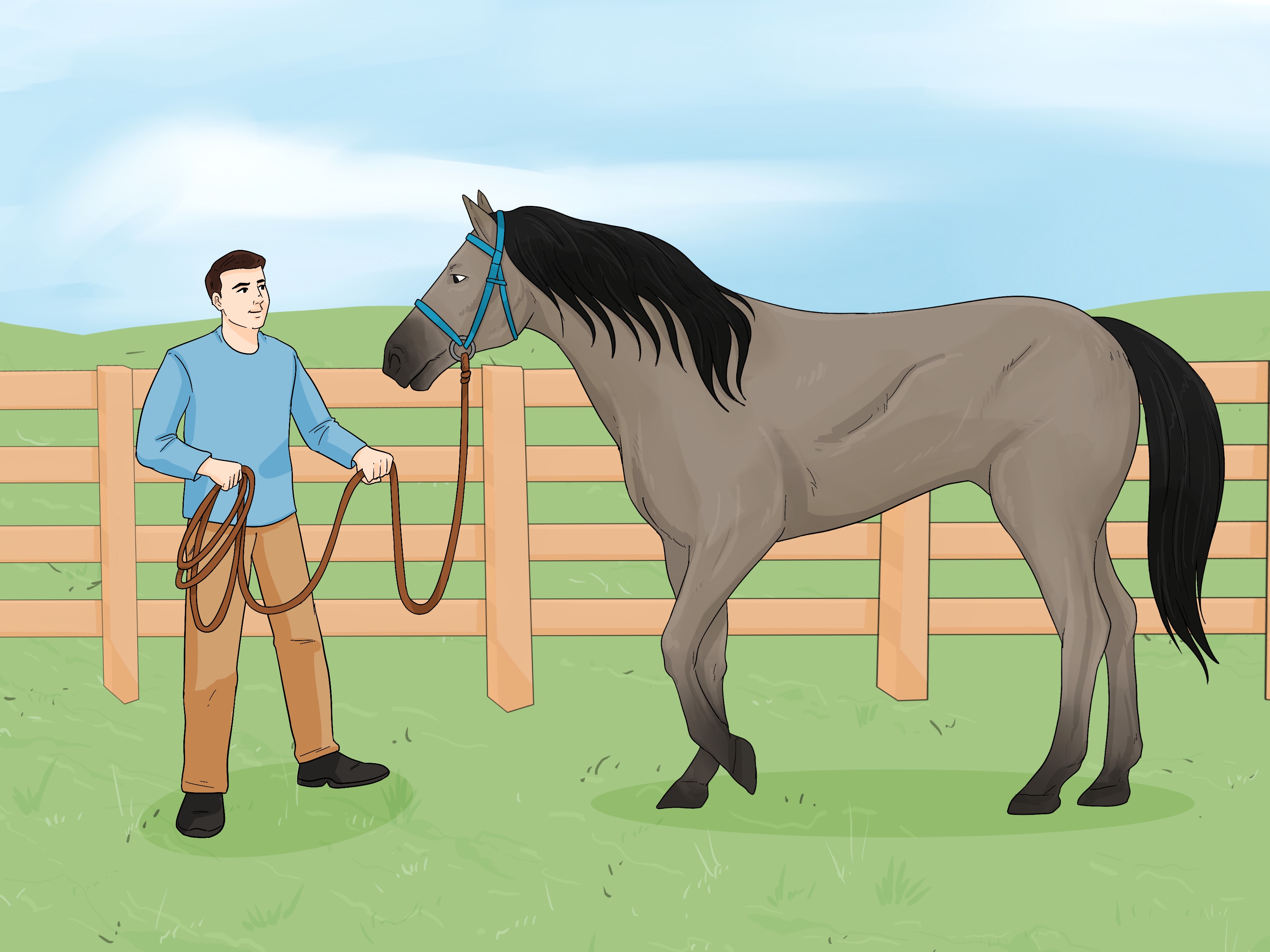 How to Get Your Horse to Trust You: Expert Techniques