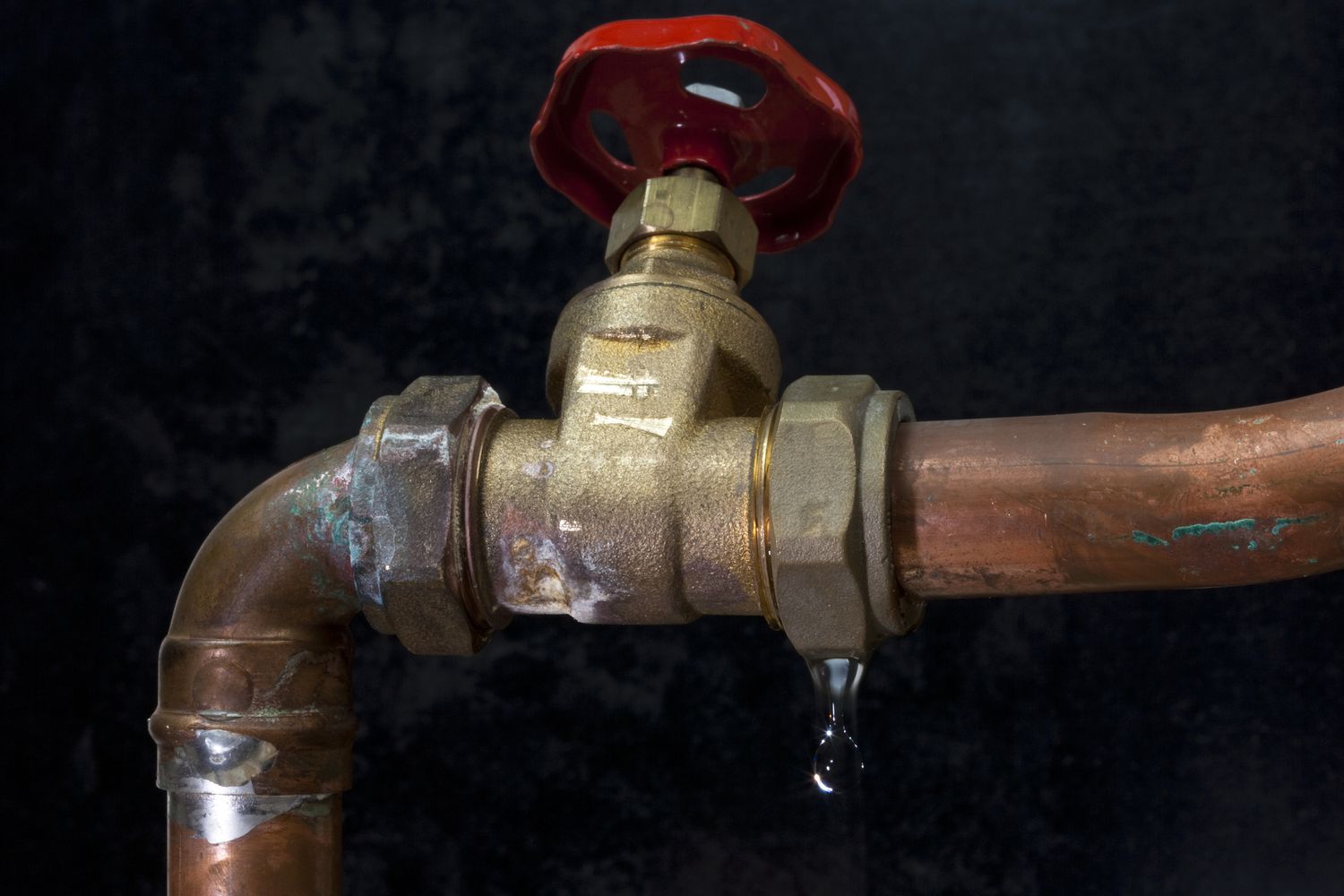 Is Mold Covered Under Your Commercial Property Policy?