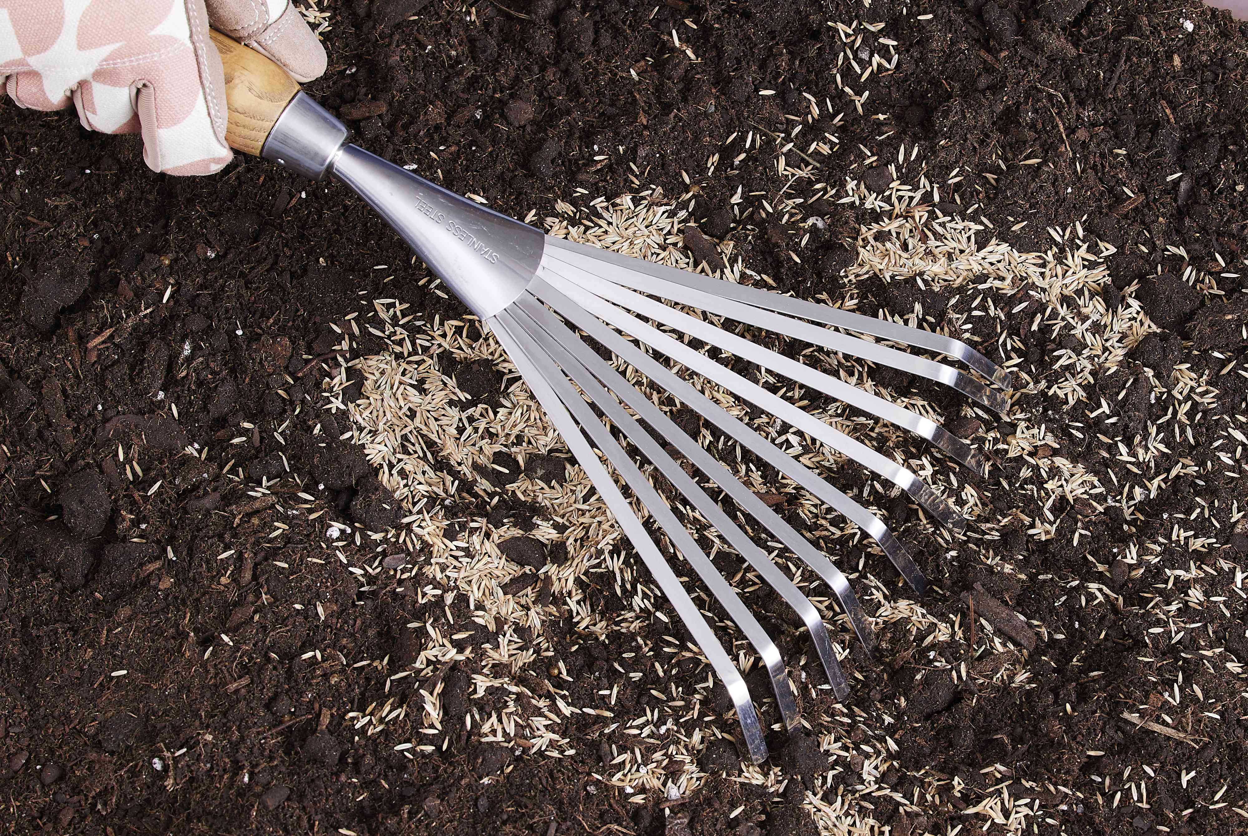 How Often You Should Water New Grass Seed So It Thrives Through Fall