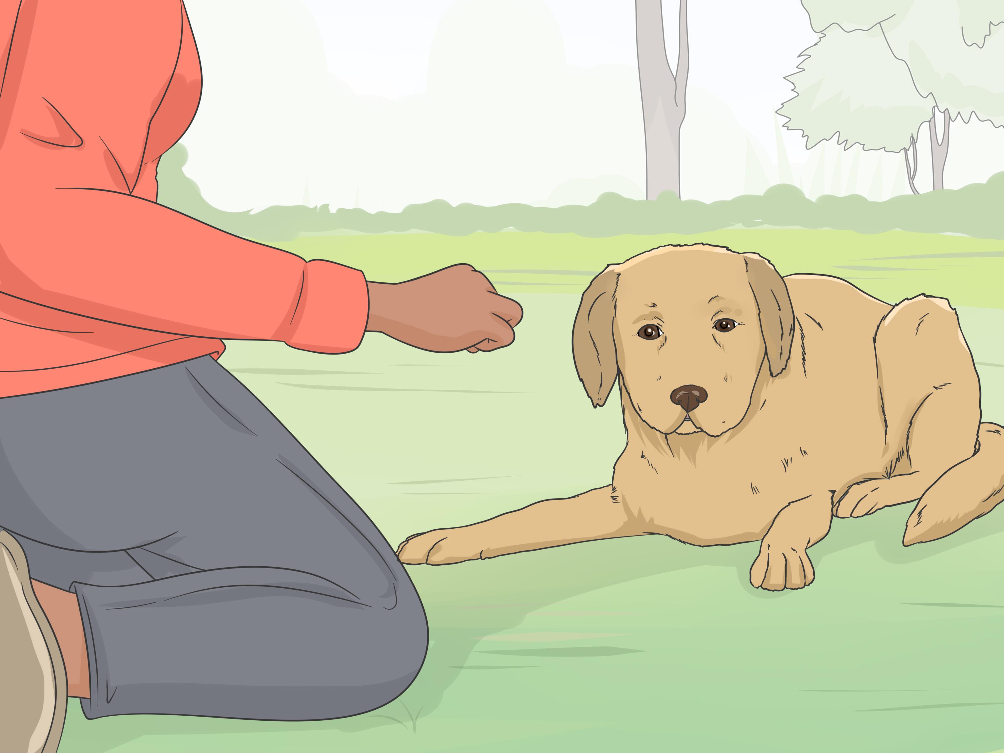3 Ways to Safely Sedate a Dog at Home