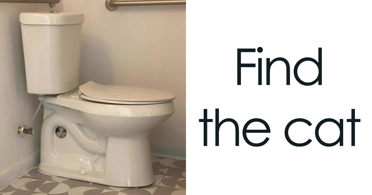 50 Hilarious Feline Memes From The Wholesome Cat Community “CatCon Worldwide”