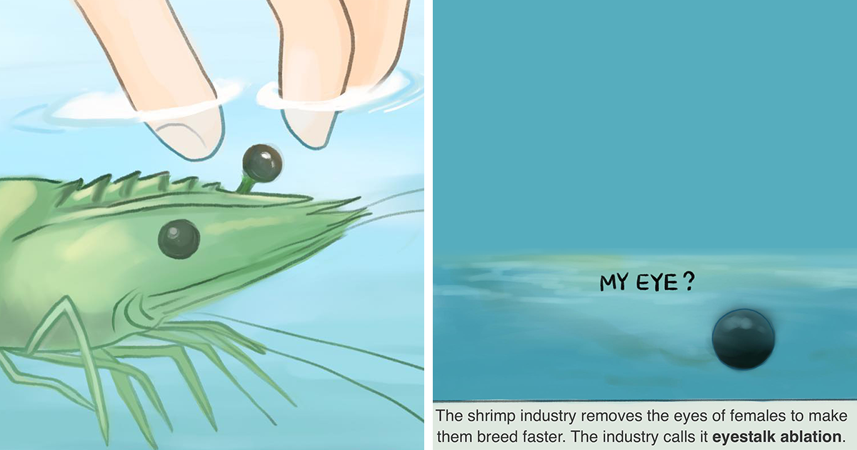 15 Comics Exposing The Sad Reality Of Many Animals On This Planet