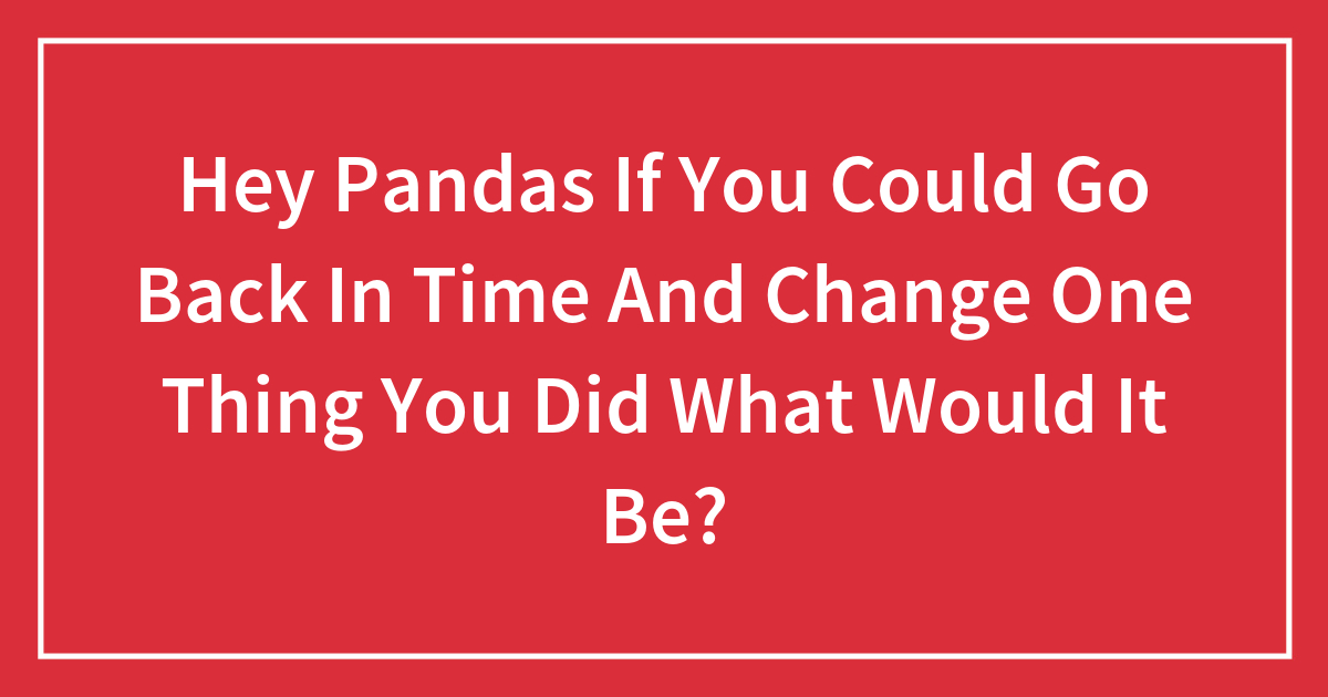 Hey Pandas If You Could Go Back In Time And Change One Thing You Did What Would It Be?