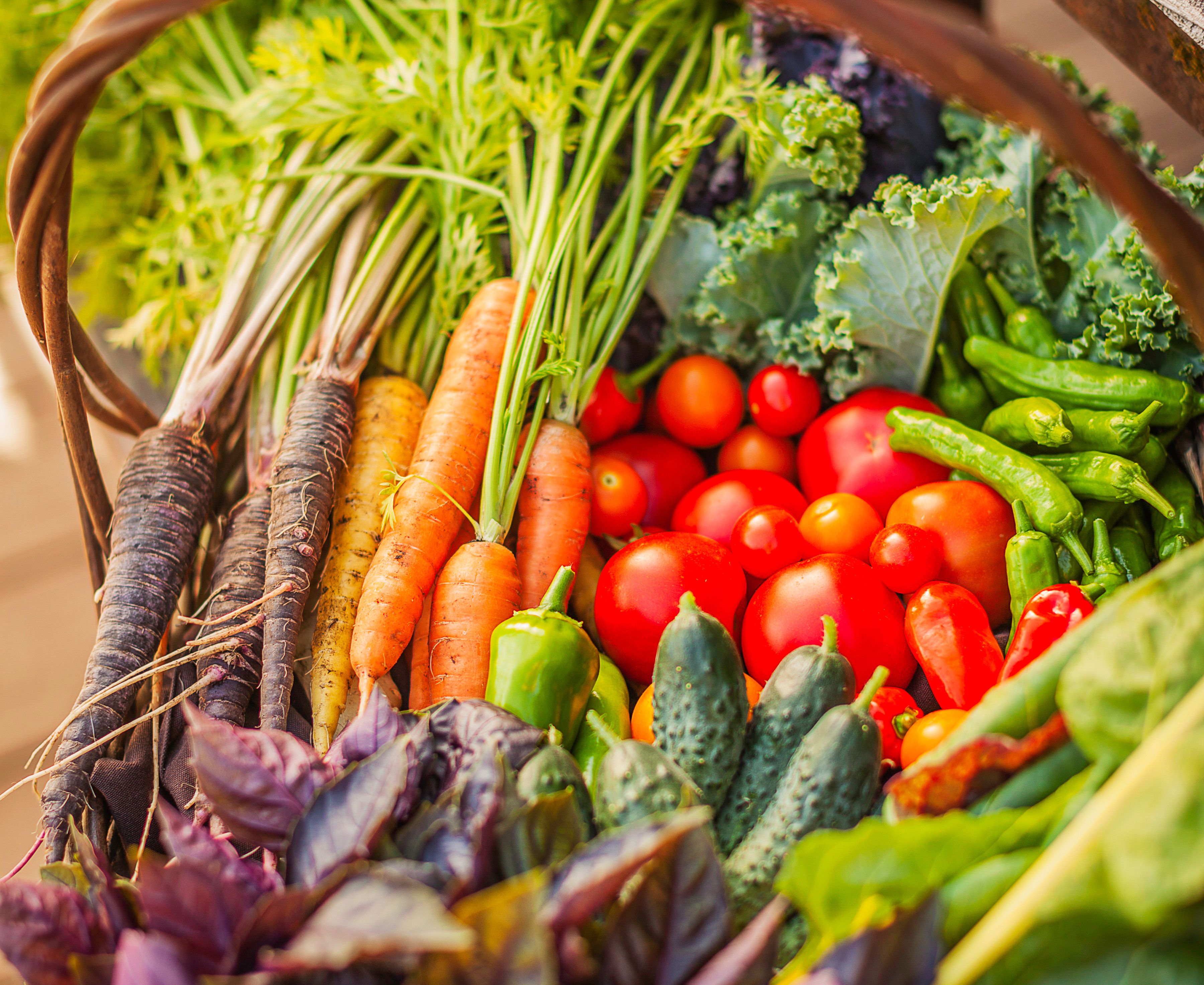 8 Best Vegetables for Saving Seedsand How to Collect Them to Grow Next Year