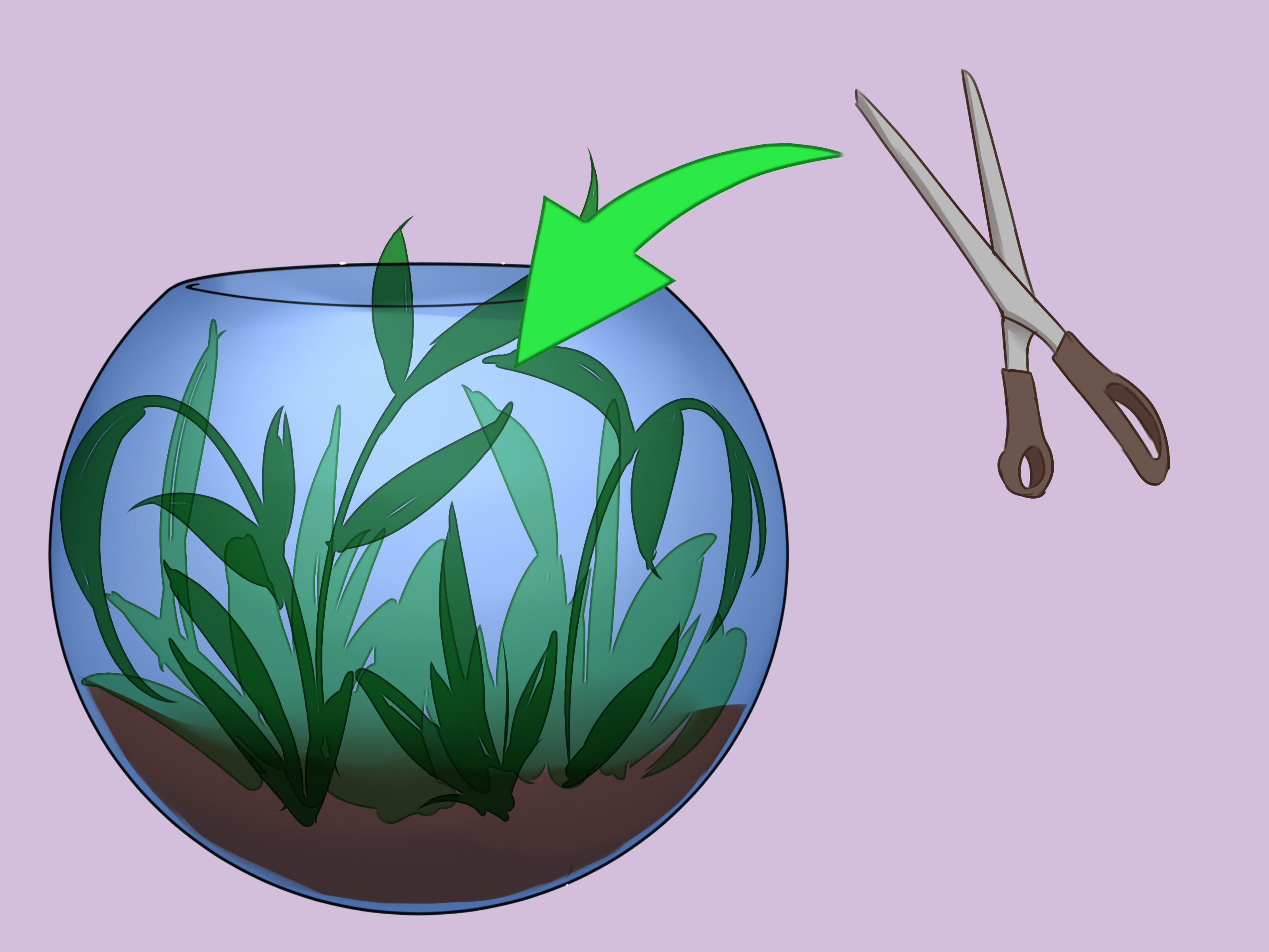 4 Ways to Build a Self Sustaining Ecosystem