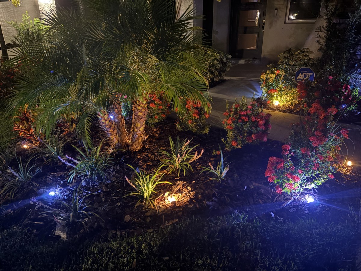 I Tried Enbrighten Lights and My Yard Has Never Looked Better