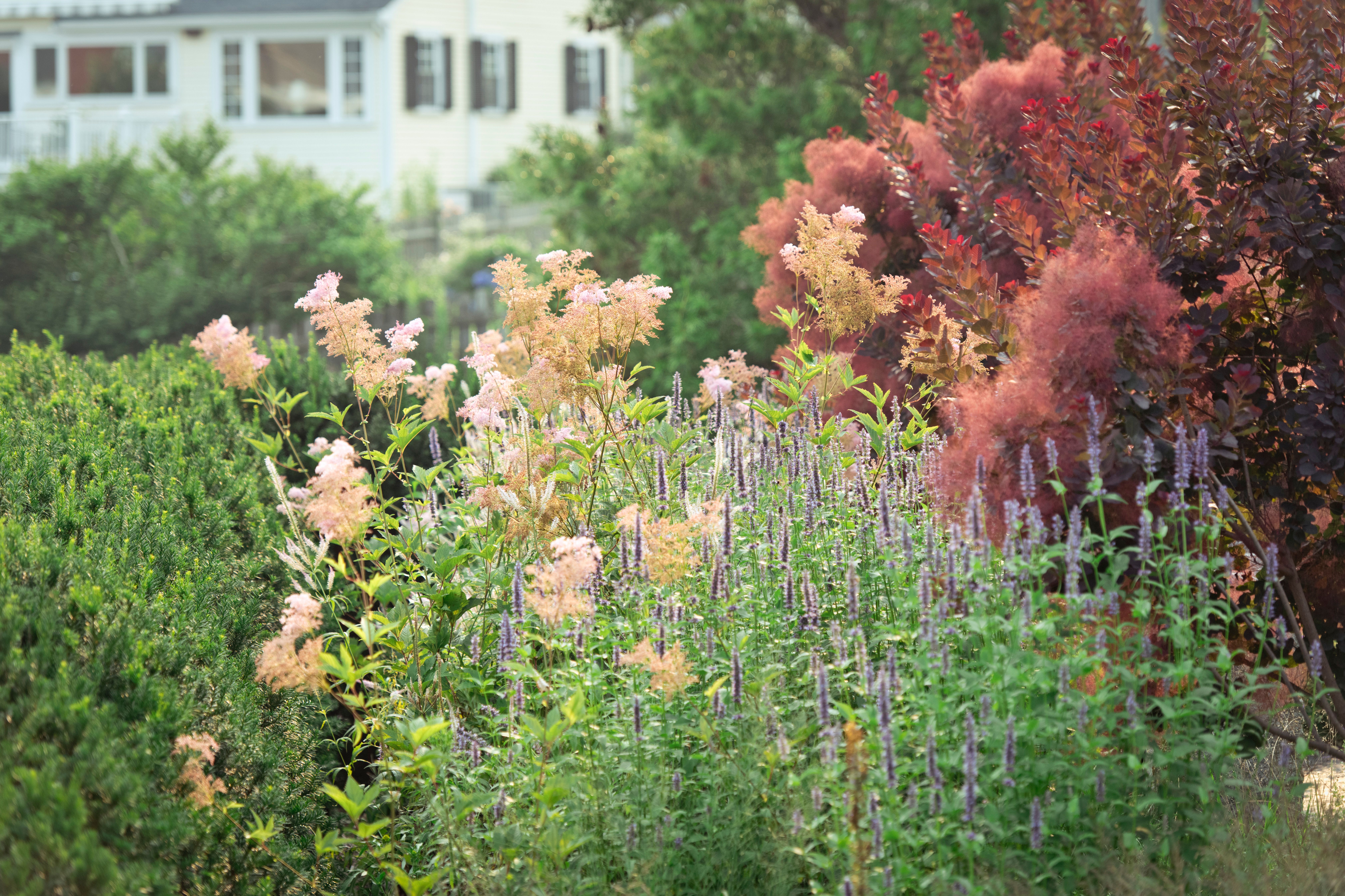 Your October Garden Checklist: What to Do Now, Region by Region