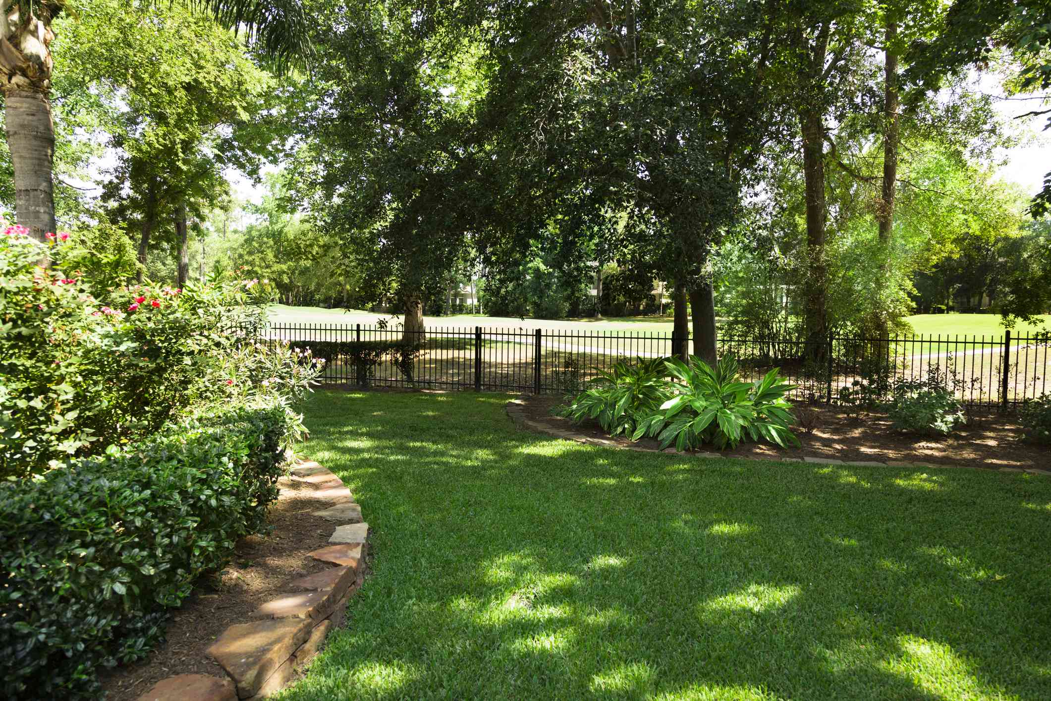 5 Secrets to Growing a Lush Lawn in Shady Areas, Backed by Turf Experts