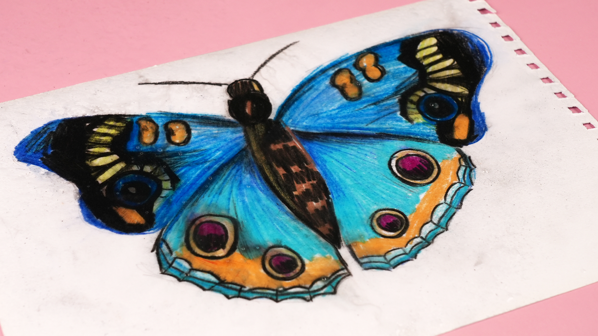 How to Use Watercolor Pencils: 14 Steps