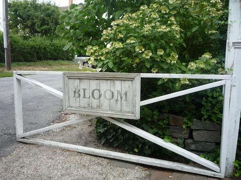 Shopper’s Diary: Bloom in Sag Harbor