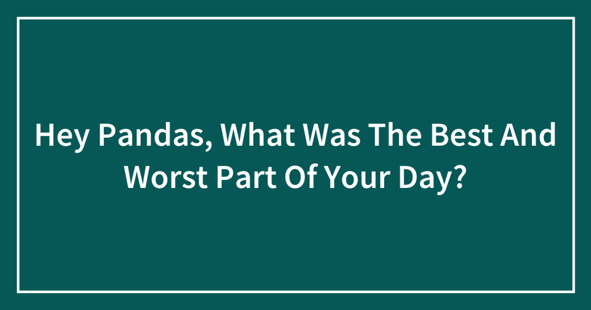 Hey Pandas, What Was The Best And Worst Part Of Your Day?