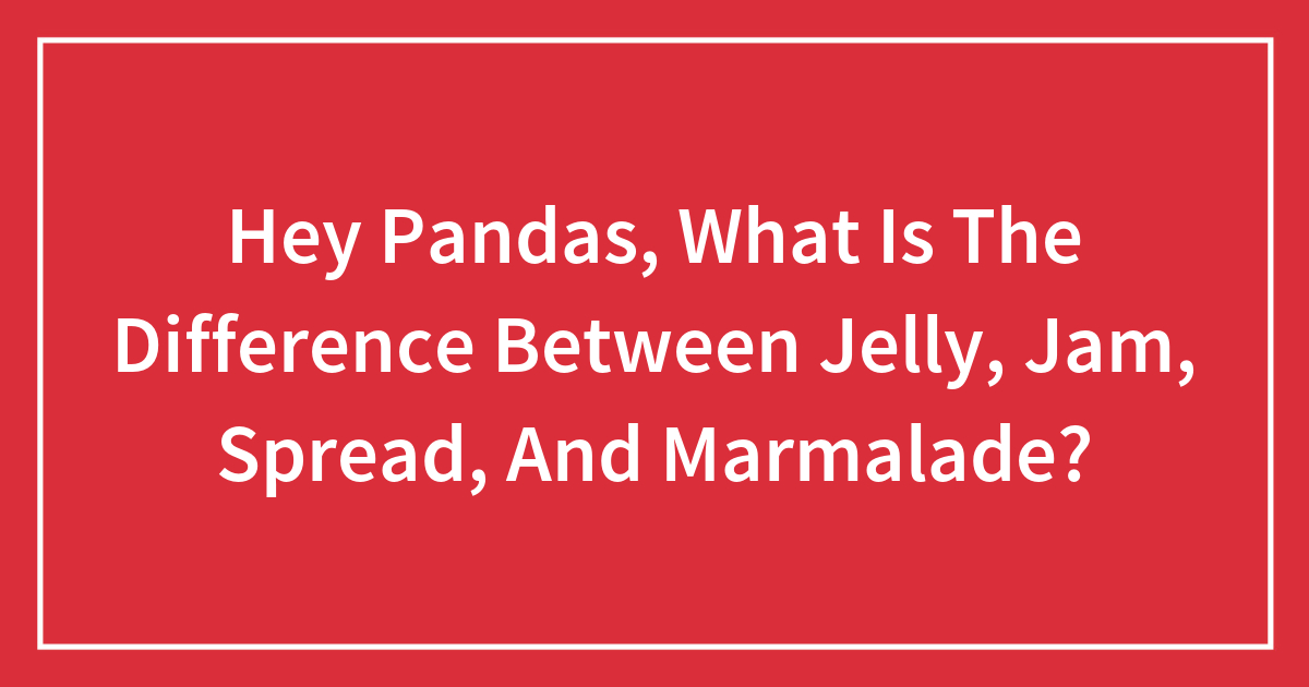 Hey Pandas, What Is The Difference Between Jelly, Jam, Spread, And Marmalade?