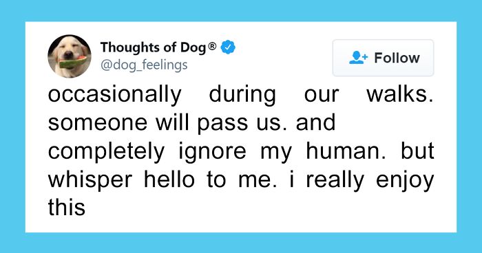 30 Of The Funniest Dog Thoughts That Dog Owners Understand Too Well