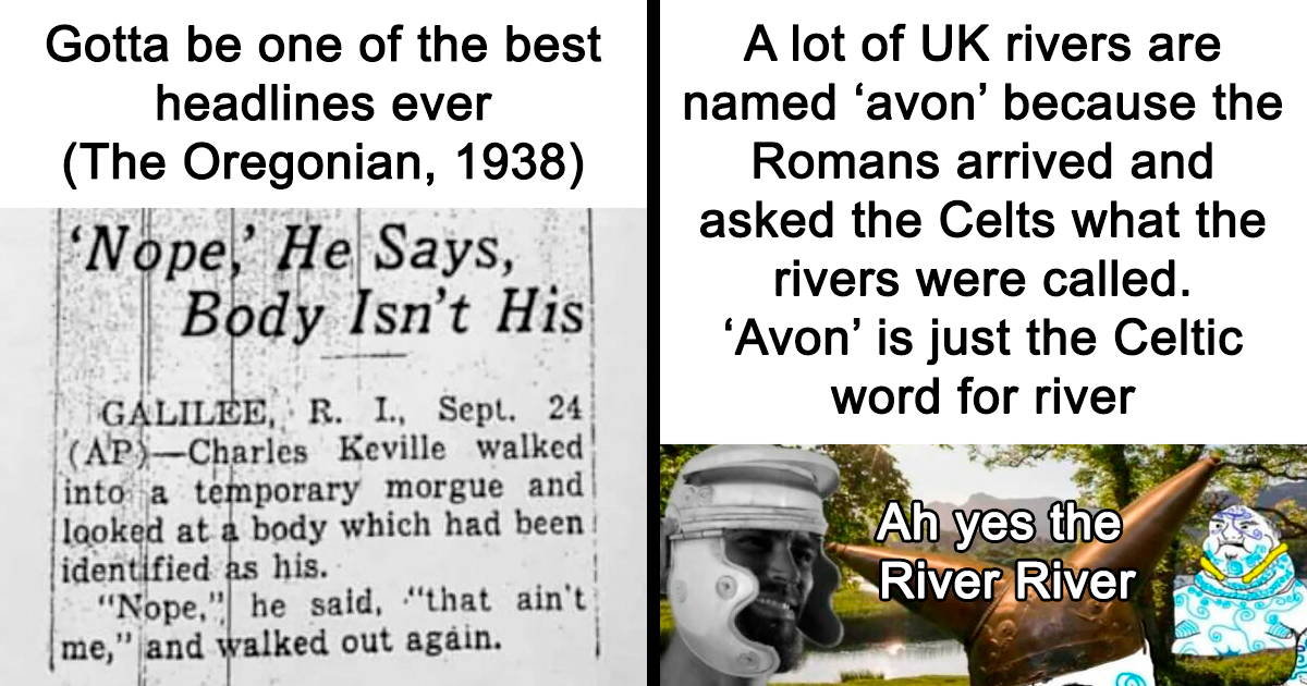45 Funny Memes That Might Challenge Your History Knowledge