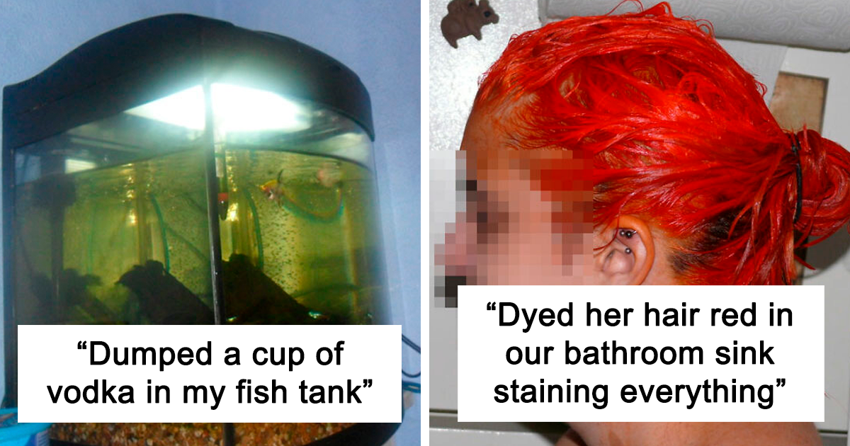 40 Of The Most Disrespectful Guests These People Had The “Pleasure” Of Hosting
