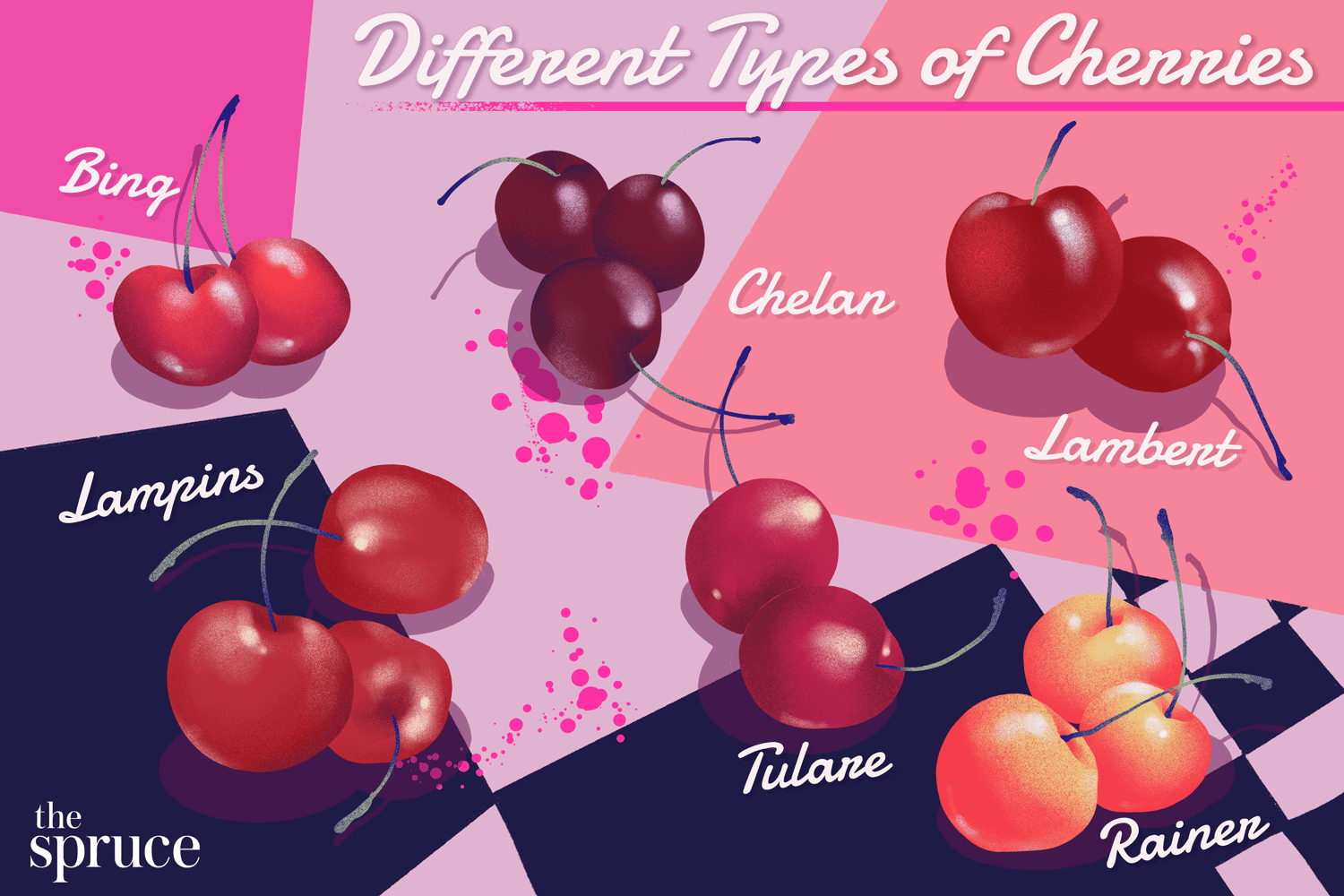 Types of Sweet Cherries, From Bing to Tulare