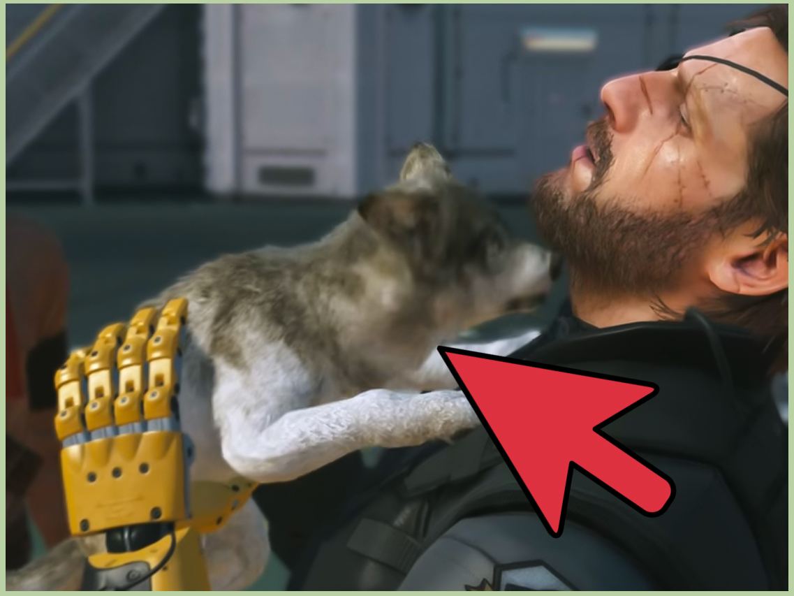 How to Get D Dog in Metal Gear Solid V: 7 Steps