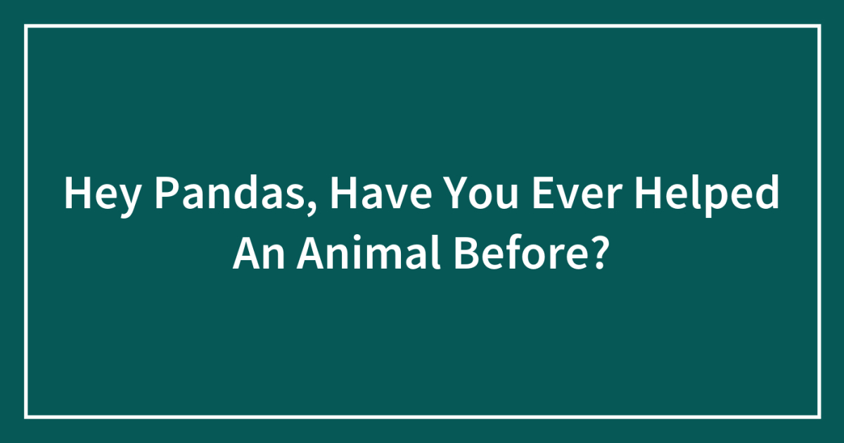 Hey Pandas, Have You Ever Helped An Animal Before?