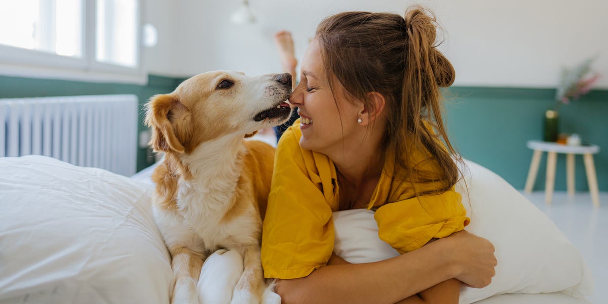 The Washer-Dryer System Changing the Game for Pet Parents